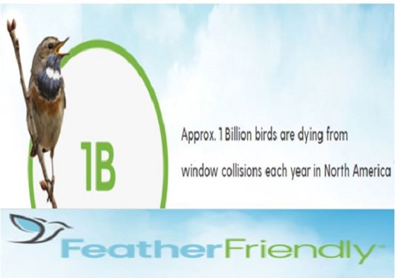 Feather Friendly® Bird Deterrent Technology is a simple solution  with a meaningful impact ...